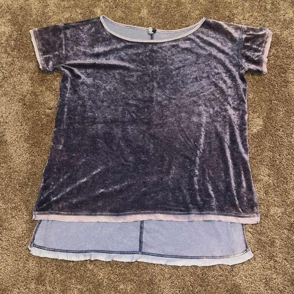 Free People Velvet Top